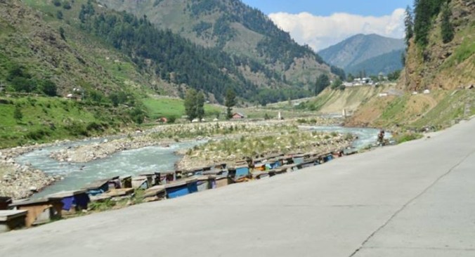 11889467_1036507033035135_4244058868311661329_n